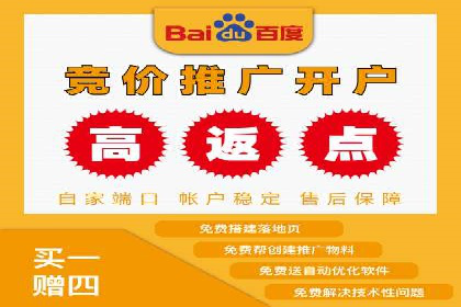 竞价推广SEM托管服务案例解析